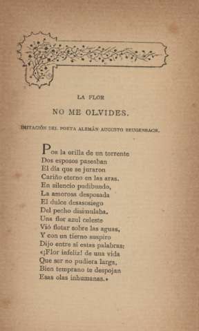La flor. No te olvides