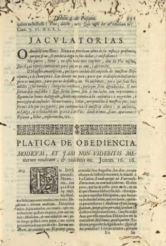 251