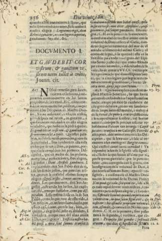 256