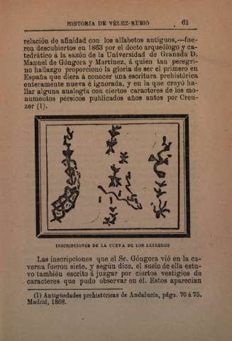 61
