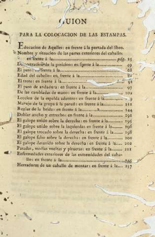 Guion para la colocacion de las estampas