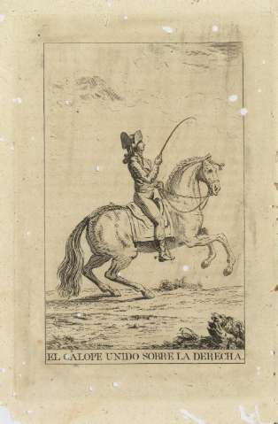 El galope unido sobre la derecha