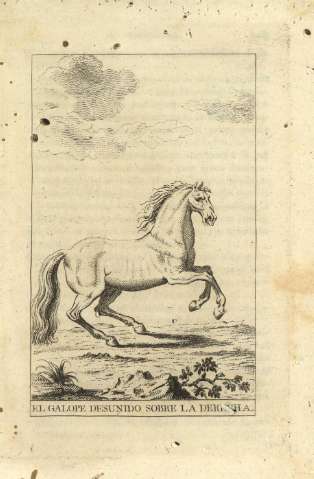 El galope desunido sobre la derecha