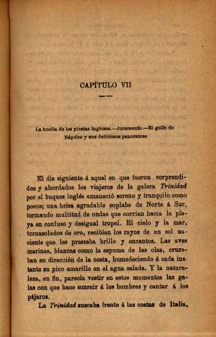 Capitulo VII
