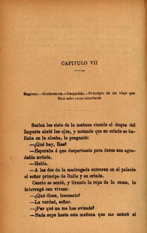 Capítulo VII