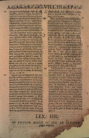 44