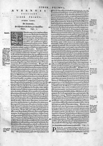 [Liber Primus. De Anatomia] 5