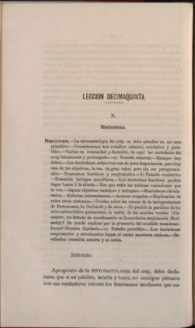 Lección decimaquinta
