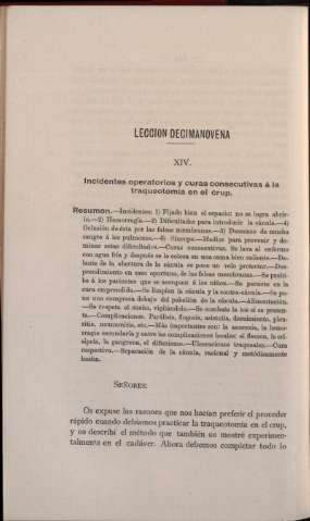 Lección decimanovena