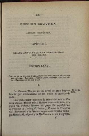Seccion Segunda. Árboles económicos