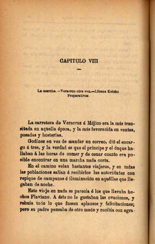 Capitulo VIII