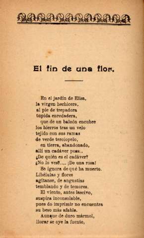 El fin de una flor