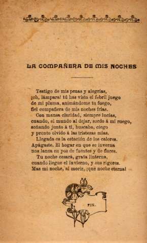 La compañera de mis noches