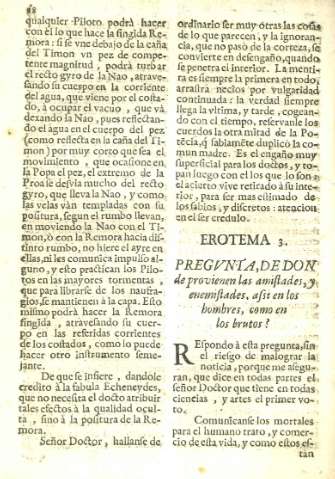 Erotema 3
