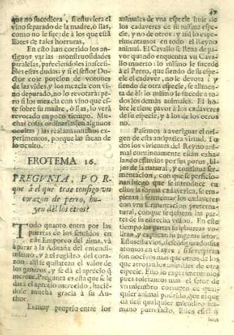 Erotema 16