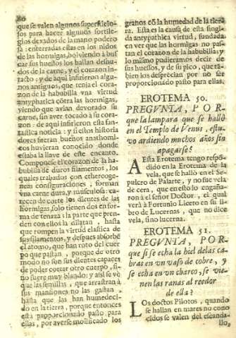 Erotema 51
