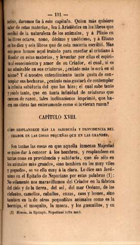 Capítulo XXVIII. Cómo resplandece más la sabiduría y providencia del criador en las cosas pequeñas que en las grandes