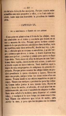 Capítulo XX. De la República y órden de las abejas
