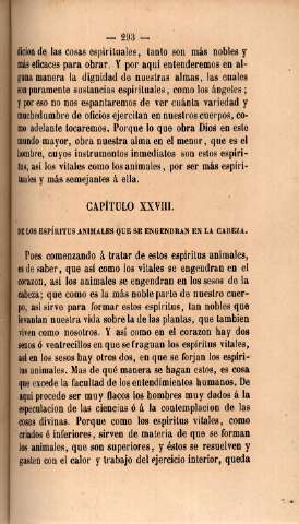 Capítulo XXVIII. De los espíritus animales que se engendran en la cabeza