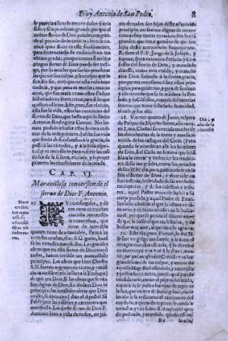 Cap. VI