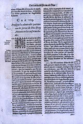 Cap.VIII