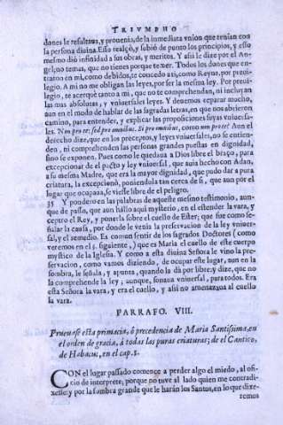 Parrafo VIII