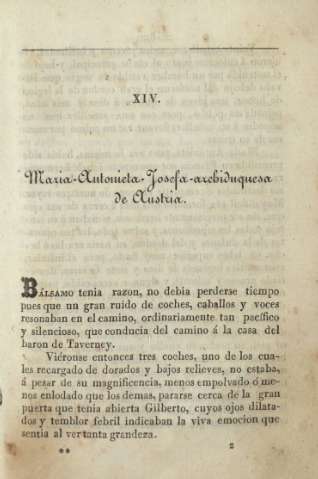 XIV. Maria-Antonieta-Josefa-archiduquesa de Austria