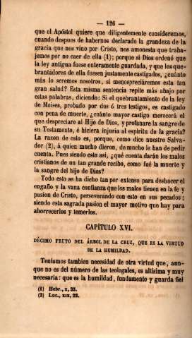 Capítulo XVI. Décimo fruto del árbol de la cruz, que es la virtud de la humildad