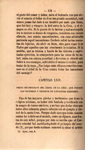 Capítulo XXIV. Fruto décioctavo del árbol de la cruz, que fueron las victorias y triunfos de los santos mártires