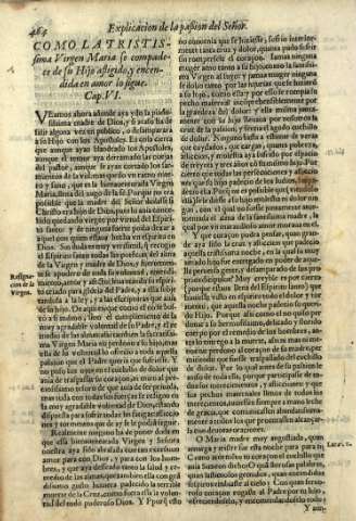 464