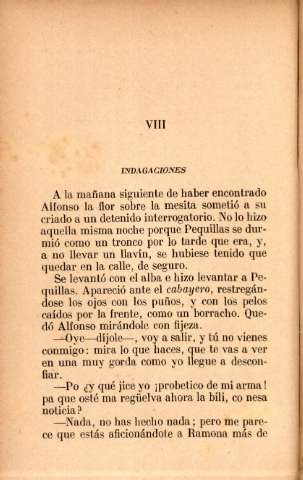 VIII. Indagaciones