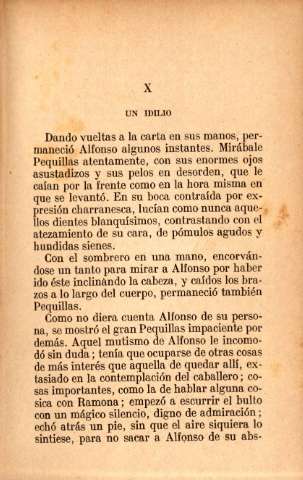 X. Un idilio