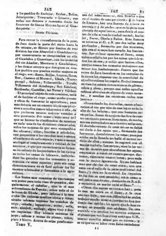 81