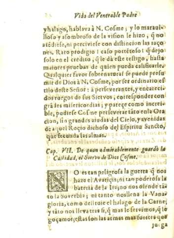 Cap. VII