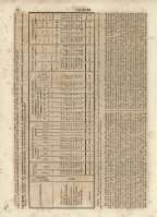 80