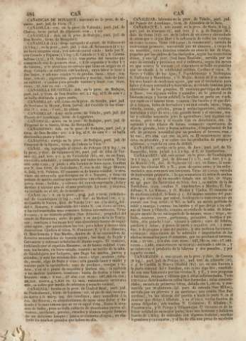 484