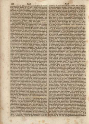 250