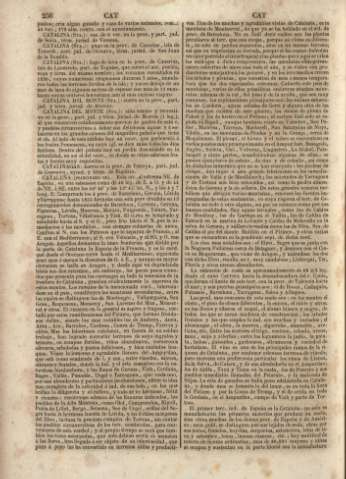 256