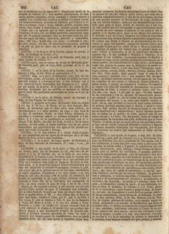 262