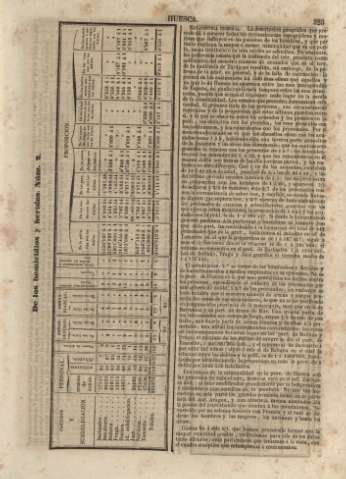 323