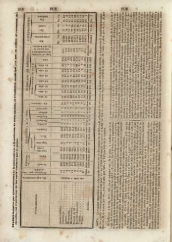 248