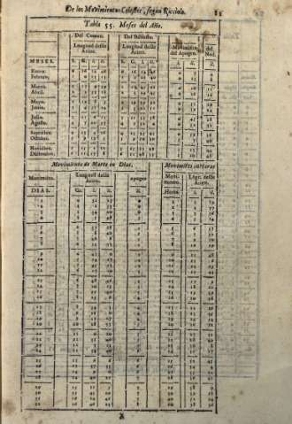 81