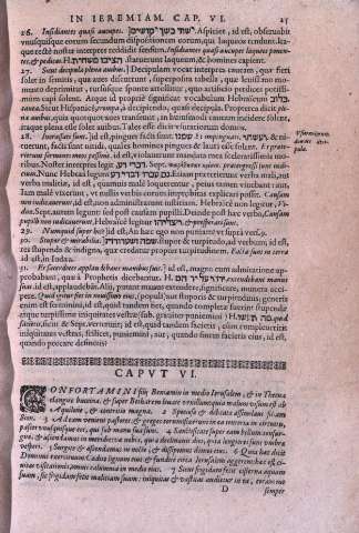 25