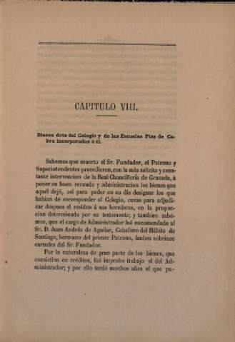 Capitulo VIII