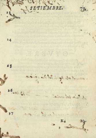 79