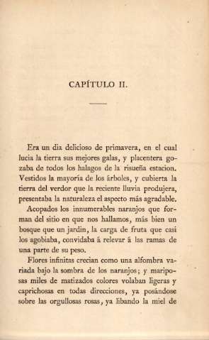 Capítulo II