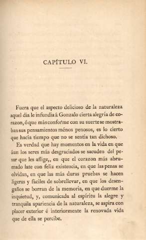 Capítulo VI