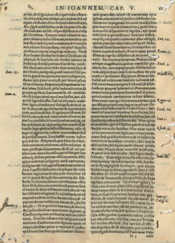 61
