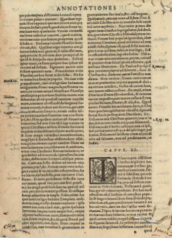 Capvt. XII.