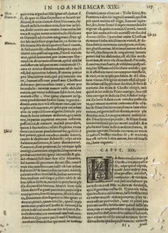 Capvt. XIX.